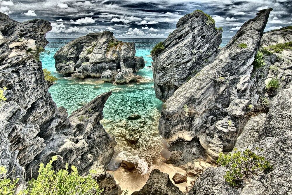 Click to See Next Image